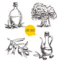 Hand drawn set of olive branch with olives, bottles with olive oil and olive tree. Royalty Free Stock Photo