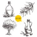 Hand drawn set of olive branch with olives, bottles with olive oil and olive tree. Royalty Free Stock Photo