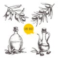 Hand drawn set of olive branches with olives and bottles with olive oil.