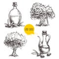 Hand drawn set of olive trees and bottles with olive oil.