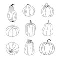 Hand-drawn set of pumpkins on a white background Royalty Free Stock Photo