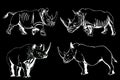 Graphical set of rhinos isolated on black background, vector engraved illustration