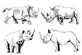 Graphical set of rhinos isolated on white background, vector engraved illustration Royalty Free Stock Photo