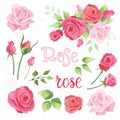 Hand drawn set of roses, rose buds and leaves on white background. Royalty Free Stock Photo
