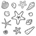 Hand drawn set of seashells and starfish isolated on white background. Vector illustration on sea theme in doodle style Royalty Free Stock Photo