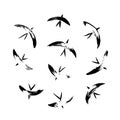 Hand drawn set with simple stylized flying wild birds. Vector animal illustration, graphic silhouettes painted by ink Royalty Free Stock Photo
