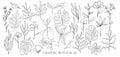 Hand drawn set sketch style Wild flowers . Line nature style,Drawing flora,hand drawn botany