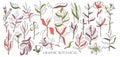 Hand drawn set sketch style Wild flowers . Line nature style,Drawing flora,hand drawn botany