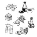 Hand drawn set of soy products. Vintage vector sketch Royalty Free Stock Photo