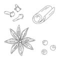 Hand drawn set of spices for mulled wine. Cinnamon stick, cloves, star anise and allspice. Vector.