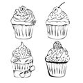 Hand drawn set of tasty Cupcake.