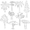 Hand Drawn Set of Trees. Doodle Drawings of Palms, Sequoia, Aloe, Acacia, Ceiba in Sketch Style Royalty Free Stock Photo