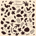 Hand drawn set of vector autumn elements and animals silhouettes