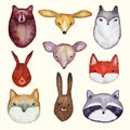 Hand drawn set of vector wild animal heads. Watercolor stickers. Bear, fox, wolf, mouse, hare, squirrel, raccoon illustration