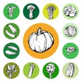 Hand drawn set of vegetables