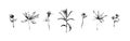 Hand drawn set of wild herbs. Outline plants painting by ink pen. Sketch or doodle style botanical vector illustration. Black Royalty Free Stock Photo