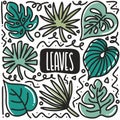 hand drawn shape leaf doodle set