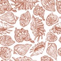 Seashells on white background seamless pattern.