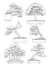 hand drawn side view Bonsai tree vector set.