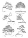 hand drawn side view Bonsai tree vector set.