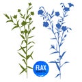 Hand drawn silhouettes of flax plant