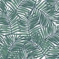 Hand drawn silhouettes, line art of palm leaves background