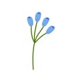 Hand drawn simple blue branch flower, spring summer plant on white isolated background Royalty Free Stock Photo
