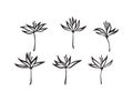 Hand drawn simple modern flowers set outline sketch. Vector black ink drawing isolated on white background. Graphic illustration Royalty Free Stock Photo