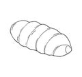 hand-drawn simple rolled bun Royalty Free Stock Photo