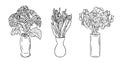 Hand drawn single line bouquets of flowers Royalty Free Stock Photo