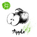 Hand drawn sketch apple with leaf and half of apple poster. Vitamin and healthy farm fresh fruit vector illustration