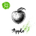 Hand drawn sketch apple with leaf sticker poster. Vitamin and healthy farm fresh fruit vector illustration