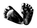 Hand drawn sketch of baby foots in black isolated on white background. Detailed vintage etching style drawing. Royalty Free Stock Photo