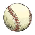 Hand drawn sketch baseball ball in color, isolated on white background. Detailed drawing in the style of vintage. Vector