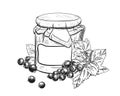 Hand drawn sketch black and white of blackberry, black currant jam, berry, jar, leaf. Vector illustration. Elements in Royalty Free Stock Photo