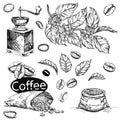 Hand drawn sketch black and white coffee set. Vector illustration of coffee beans, leaf, branch, mill, bags. Elements in Royalty Free Stock Photo