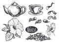 Hand drawn sketch black and white hibiscus flowers, tea cup, leaf, petal, kettle. Vector illustration. Elements in