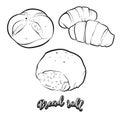 Hand drawn sketch of Bread roll bread