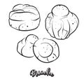 Hand drawn sketch of Brioche bread