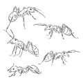 Hand drawn, sketch, cartoon illustration of red ant. ant vector sketch illustration