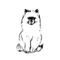 Hand drawn sketch of cat. Black line drawing isolated on white background. Fluffy little pet. Cute furry sitting kitten. Vector