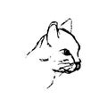 Hand drawn sketch of cat head. Black line drawing of pet isolated on white background. Vector animal illustration. Royalty Free Stock Photo