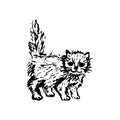 Hand drawn sketch of cat kitten. Black line drawing isolated on white background. Cute little pet. Vector animal illustration. Royalty Free Stock Photo