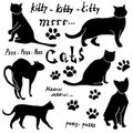 Hand drawn Sketch cats silhoets and traces. Outlined Doodles with Lettering. Vector Illustration Elements isolated on white backgr