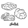 Hand drawn sketch of Challah bread