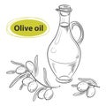 Hand drawn sketch - collection of olive oil bottles with olive branches and olive berries