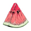 A hand-drawn sketch of a cut watermelon in color, isolated on a white background. Detailed drawing in the style of