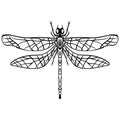 Hand drawn Sketch Dragonfly Vector tattoo Royalty Free Stock Photo