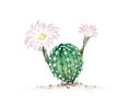 Hand Drawn Sketch of Echinopsis Cactus Plant