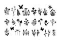 Hand drawn sketch of flowers and insects.Black silhouettes of herbs, flowers and herbs isolated on a white background. Royalty Free Stock Photo